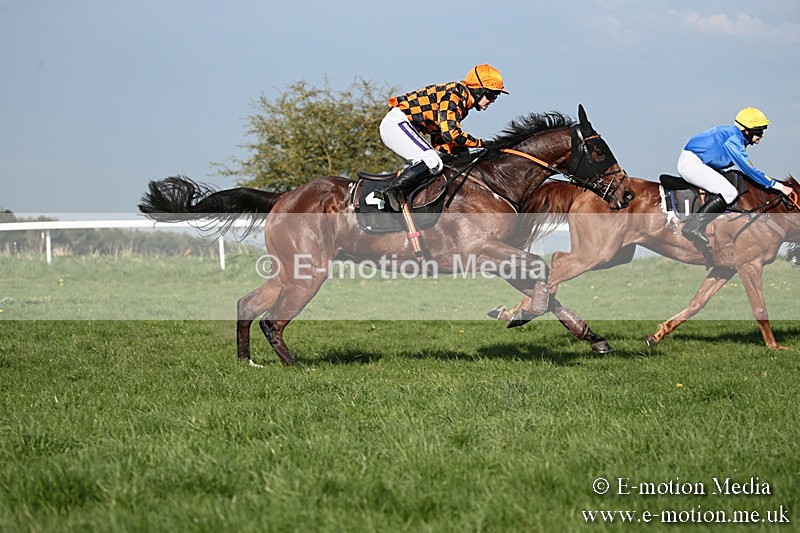 PtP 210418 542 - South & West Wilts Point-to-Point Larkhill 21/04/18