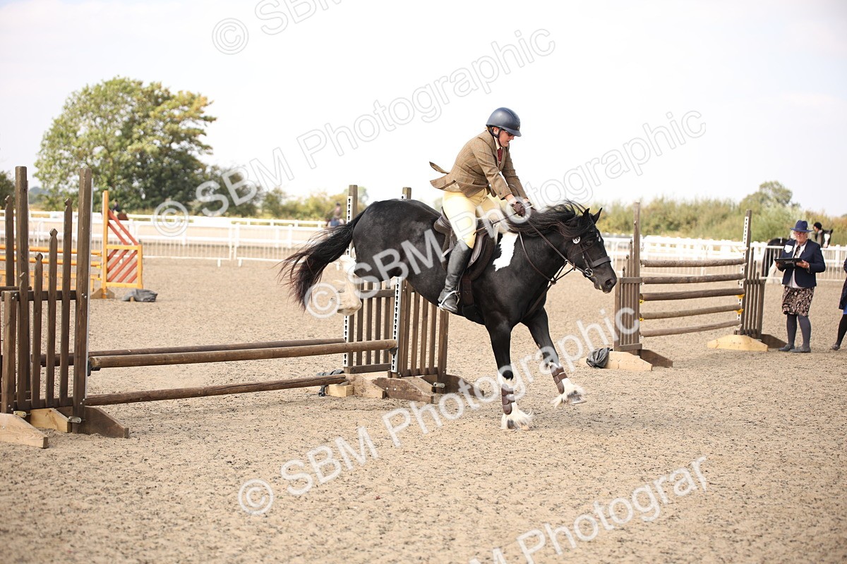 SBM_14224 - Class 407a - Working Veteran 60cm (15-19