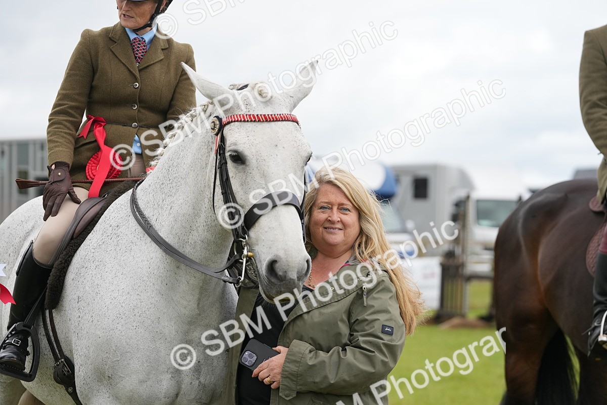 SBM_12854 - Class 97-98 - LIHS BSHA Rising Star Working Show Horse Hunter