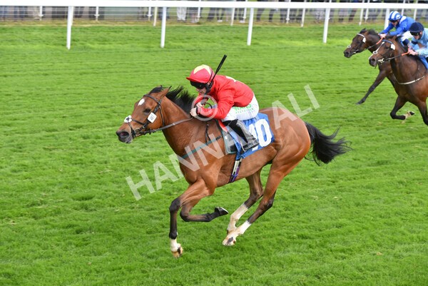 yr11052022r3-26 - Race 3 3.00pm 1895 Duke of York Clipper Logistics Stakes