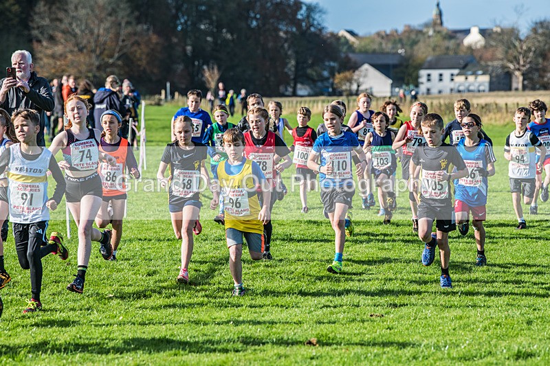 Cumbria XC-77 - Cumbria XC League Workington Saturday 26th October 2024