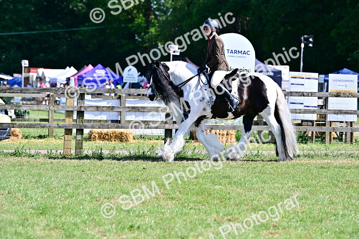 SBM_19384 - Class 101-102 - BSPS LIHS Performance Coloured Horse/Pony