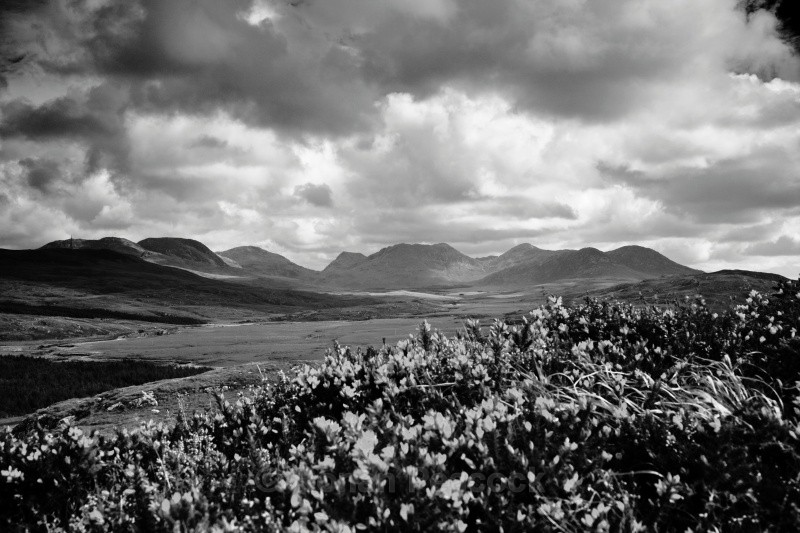 Twelve Bens (B&W) - West of Ireland