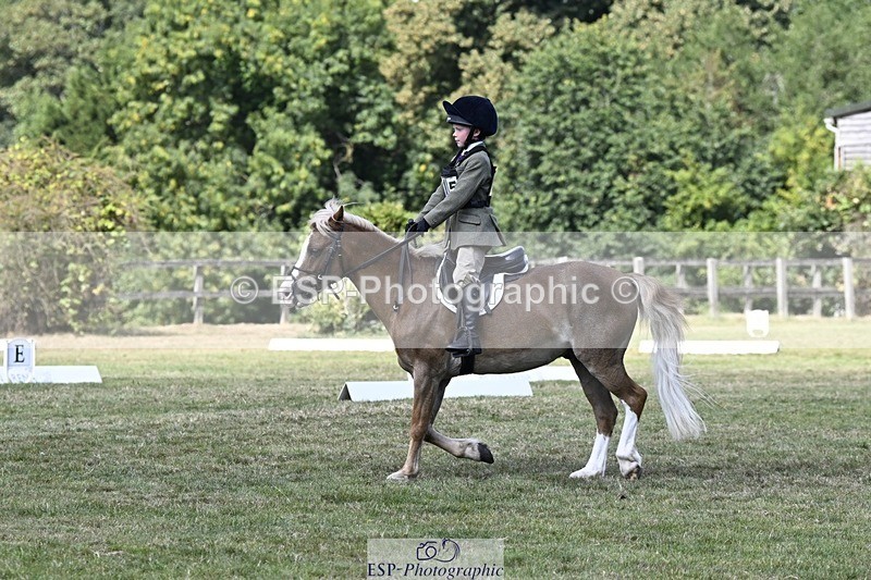 250822A-124852-21911 - DR 12.00 to End