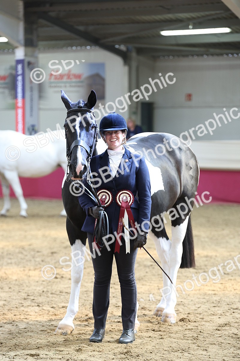 SBM_23432 - Class 903 - Supreme Final - IH Pre Vet