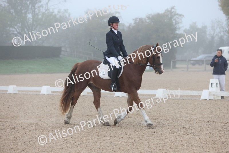 20251012-0002 - Class 1 - Prelim 5