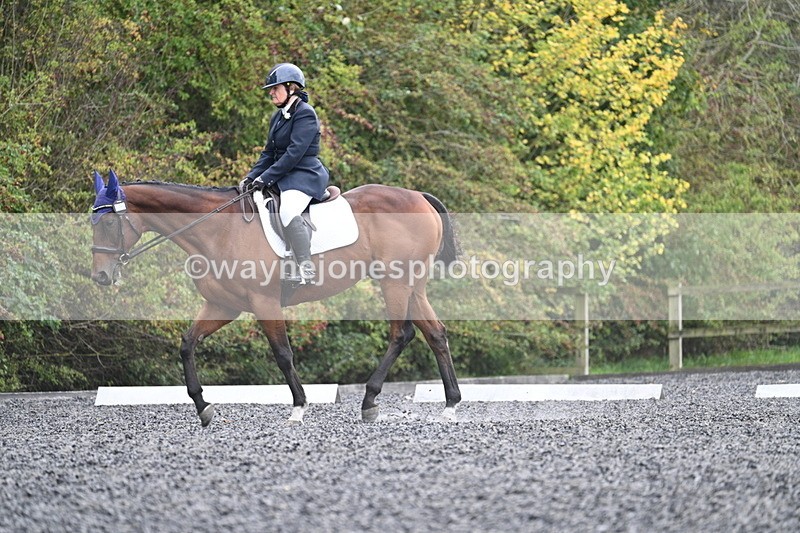 WJ7_6454 - Time 14:49 to 15:14