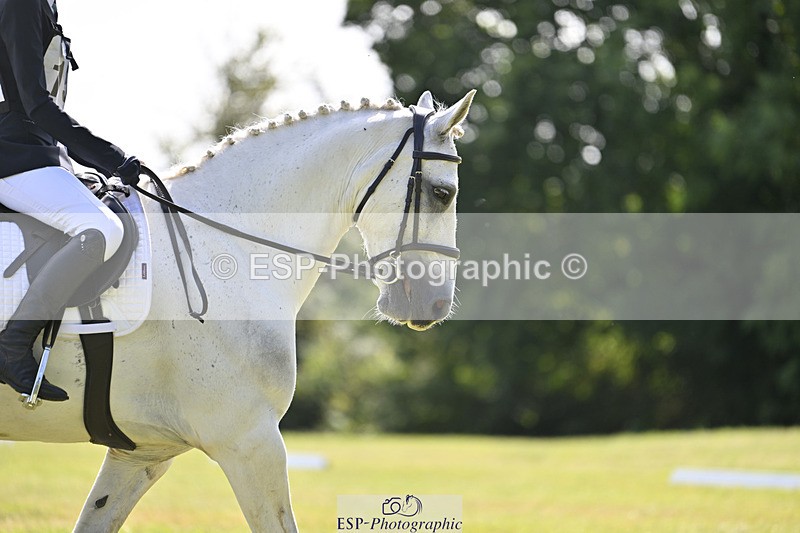 240824X-114041-25979 - D80 Section E and F 11.00 to 12.00