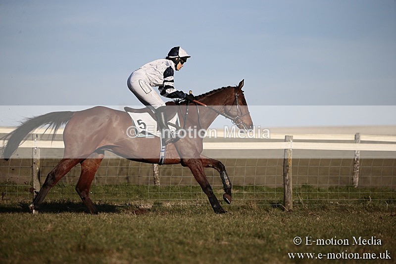 PtP 240218 672 - Vine & Craven Hunt Point-to-Point Barbury racecourse 24/02/18