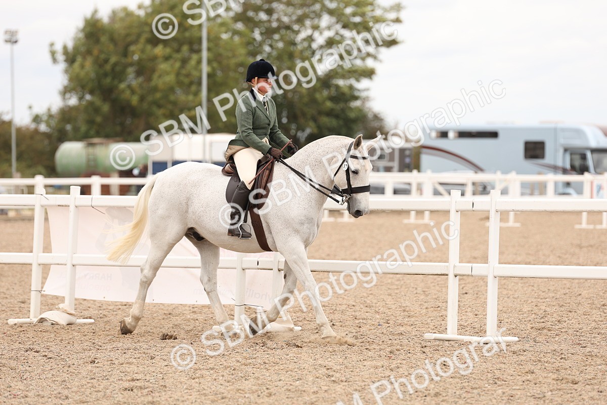 SBM_19517 - Class 215 - Ridden Show cob