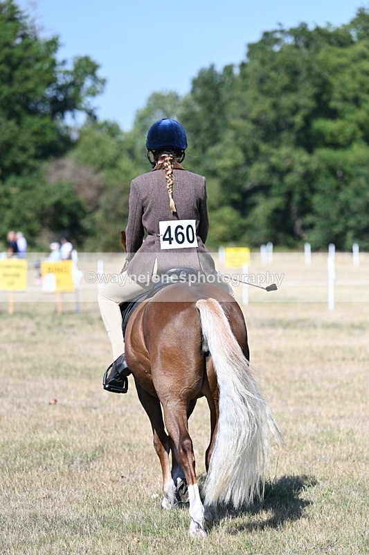 WJ7_3982 - Class 9 Mountain & Moorland Ridden