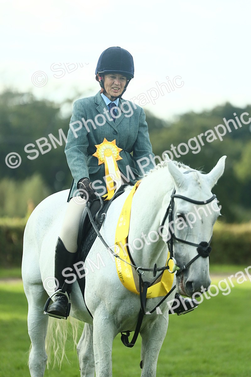 SBM_52217 - S33 - Working Hunter & Working Show Horse