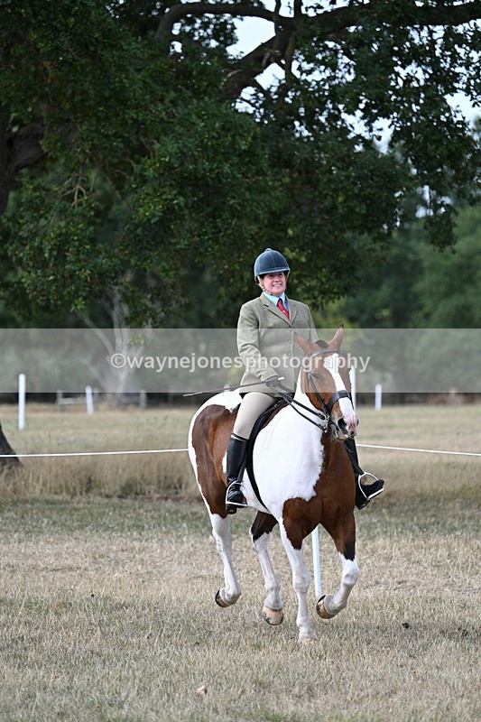 WJ7_7220 - Class 14 Ridden Coloured