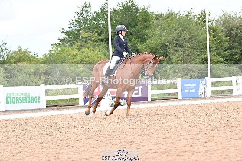 240817A-121700-08231 - 223-Pippa.Knight-KFS.Boston.Burglar