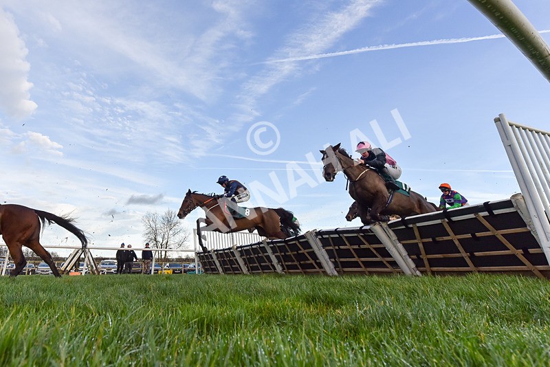 281224-Race 4-Siog Geal-9586 - Race 4