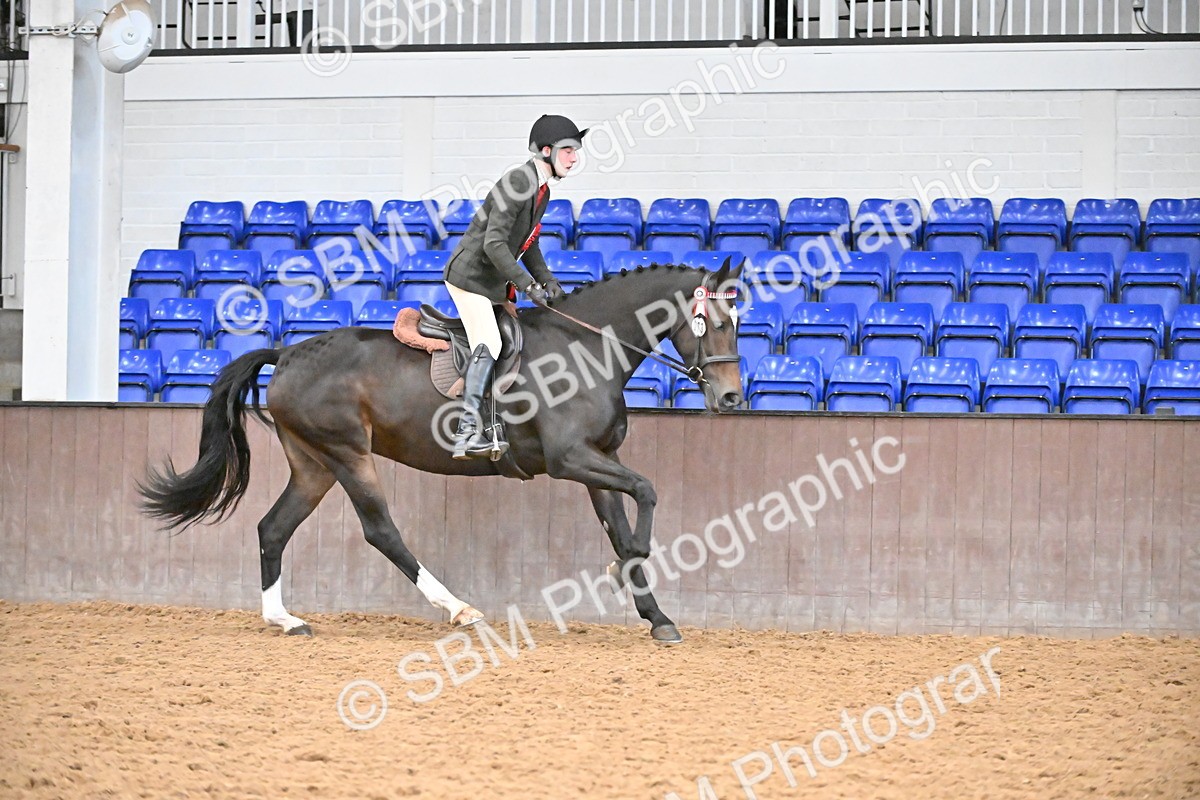 SBM_001479 - Class 19,20 - Ridden Native, Foreign Breeds & Warmbloods