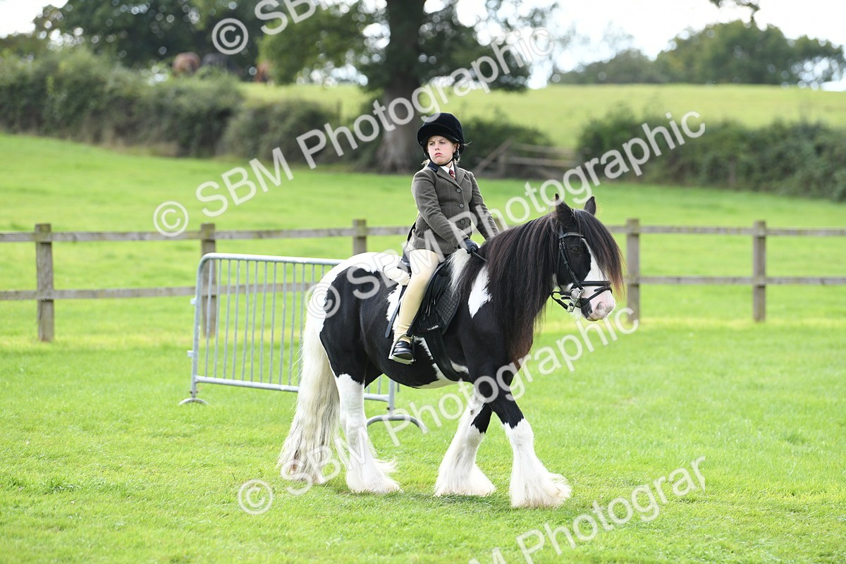 SBM_46689 - S12 - Family Horse & Pony
