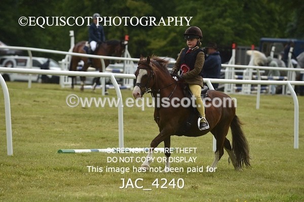 JAC_4240 - WORKING HUNTER CHAMPIONSHIP