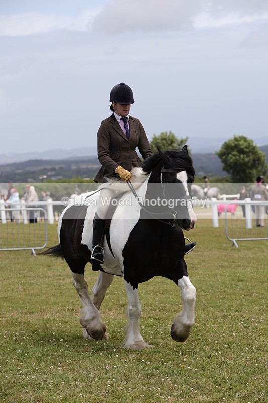 1X9A4505 - Class 34: Veteran Ridden