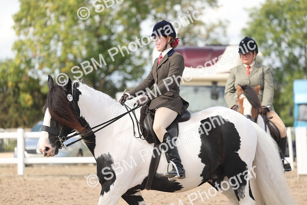 SBM_14825 - Class 308 - Ridden Coloured Horse