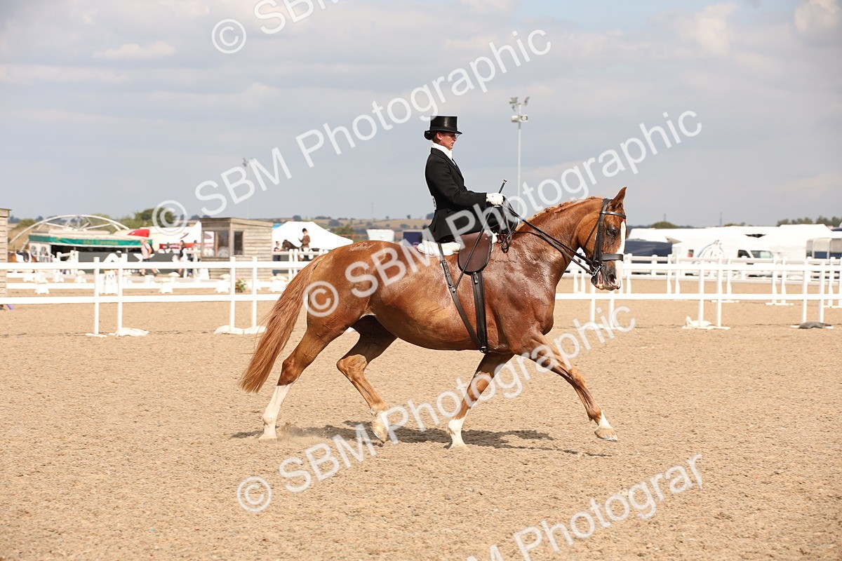 SBM_06745 - Class 24 Concours d'elegance