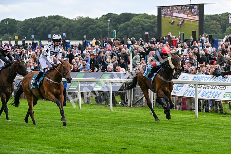 130626-Race 1-Dunkeld Dreamer-0533 - Race 1 13.50pm Queen Mother's Cup Handicap