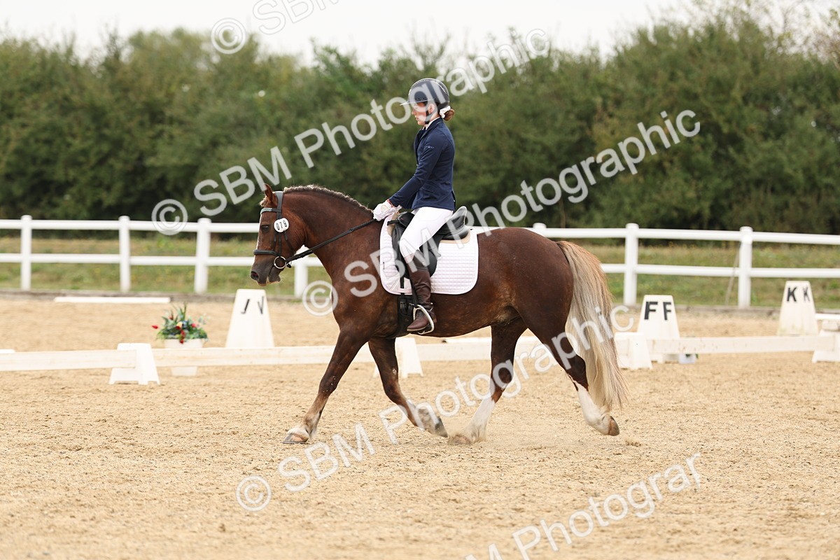 SBM_01060 - Class 8 - Novice 27 Champs