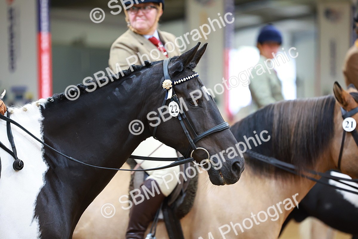 SBM_05503 - Class 11R - Ridden Veteran