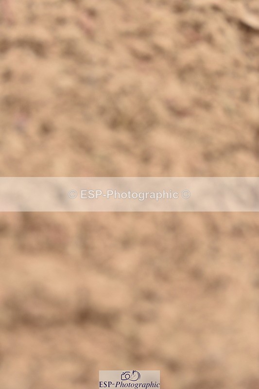 231011A-140934-00657 - Cls 5 Foxhunter & 1.20m Open