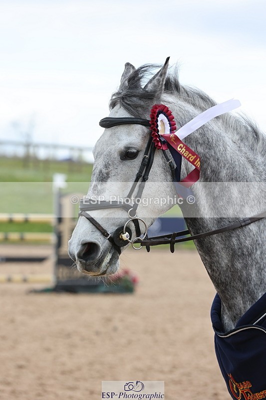 240419A-111954-06419 - Cls 2, 2 Star Small Tour 1.30m