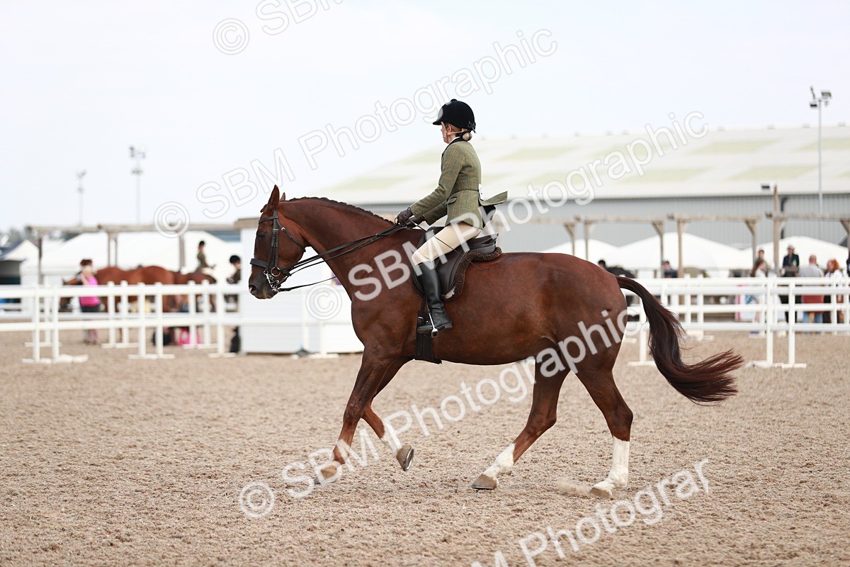 SBM_15542 - Class 213 Ridden Hunter -Large
