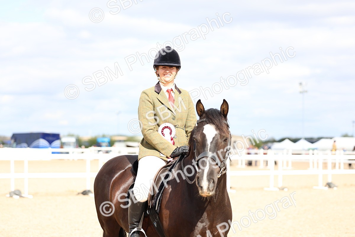 SBM_15867 - Class 314 - Family Horse - Pony