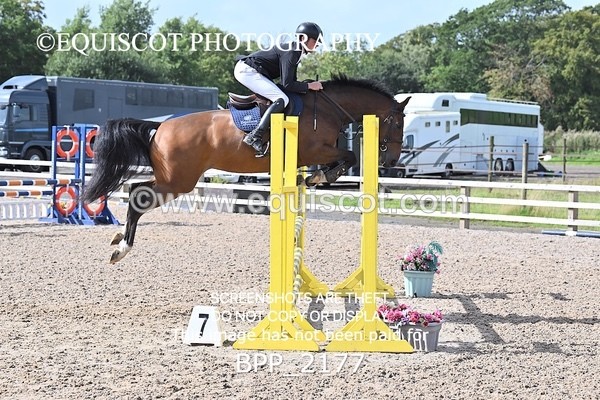 BPP_2177 - CLASS 2  FRI British Novice/ 90cm Open
