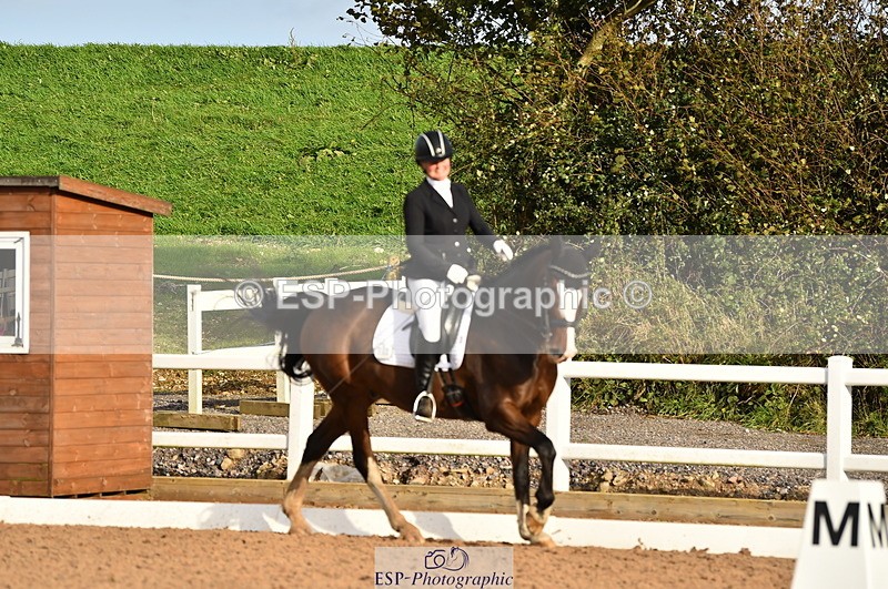 231104A-140106-01992 - Cls 10 Medium 61