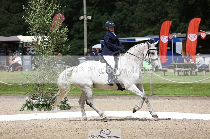 230812-114642-03860 - Cls 5 Novice Bronze 11.15 to 12.50 break