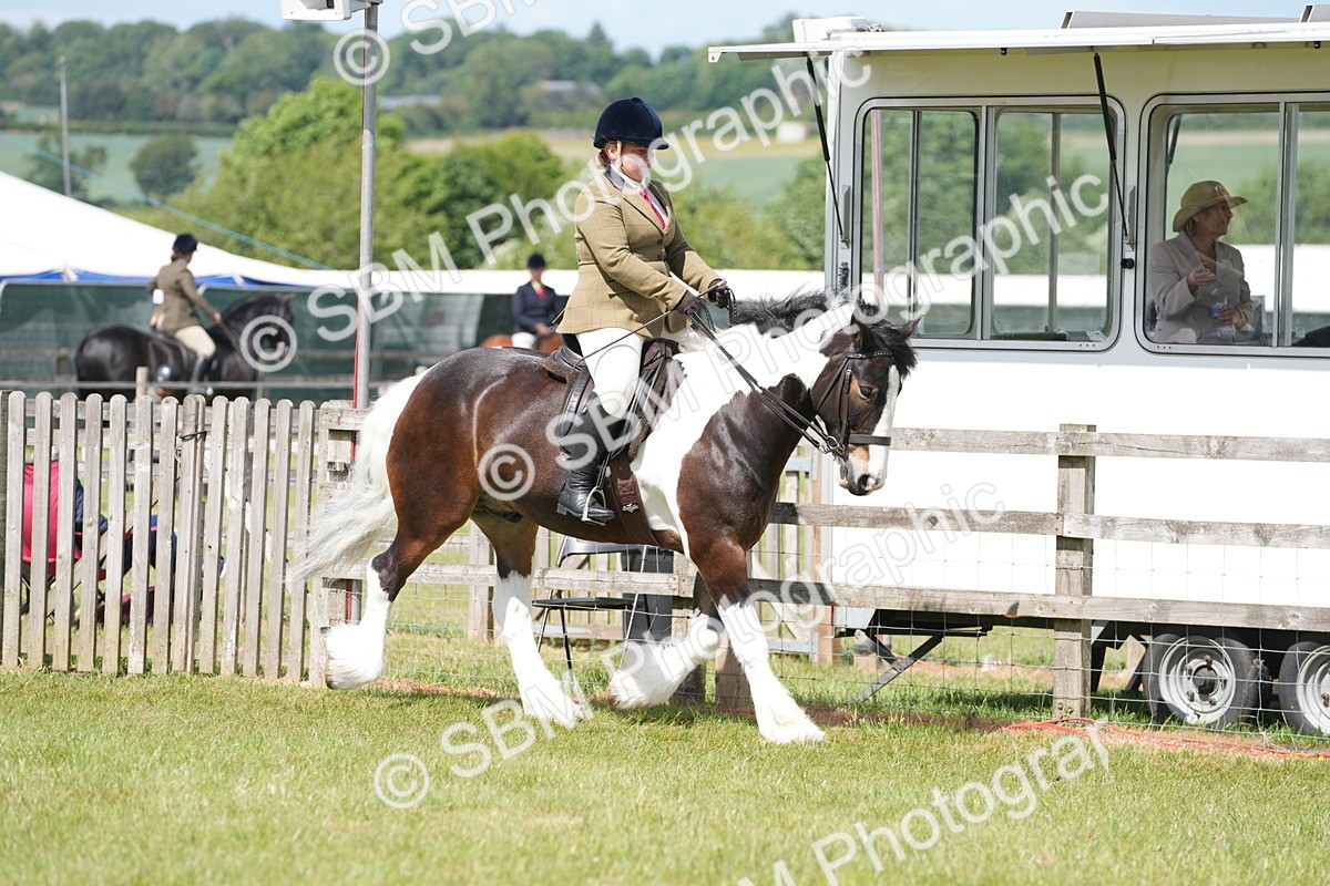 SBM_17090 - Class 107-108 - LIHS BSPS Performance Coloured Horse Pony