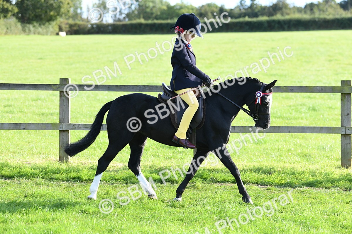 SBM_52370 - S22 - 1st Ridden Show & Show Hunter Pony