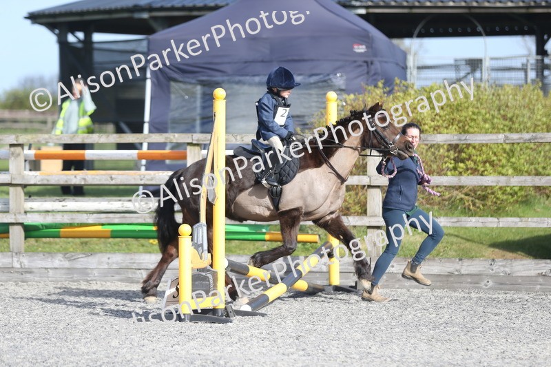 20260412-0038 - Show Jumping