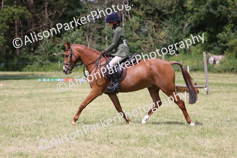 20260614-1872 - Class 21 - Novice Working Hunter Pony
