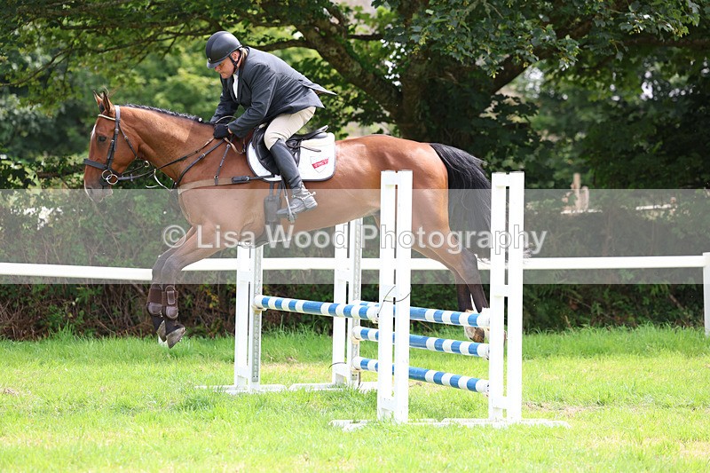 3E7A6881 - Class 5: Senior British Novice/90cm open
