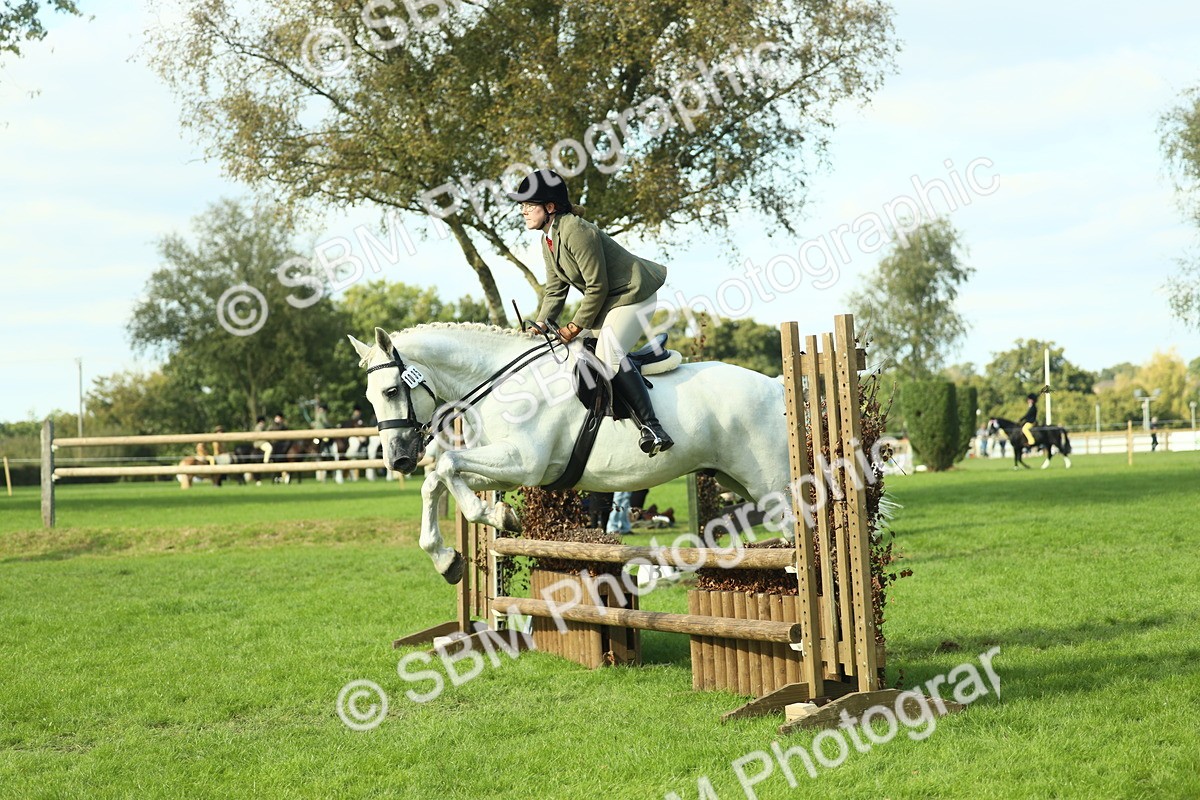 SBM_50551 - S33 - Working Hunter & Working Show Horse