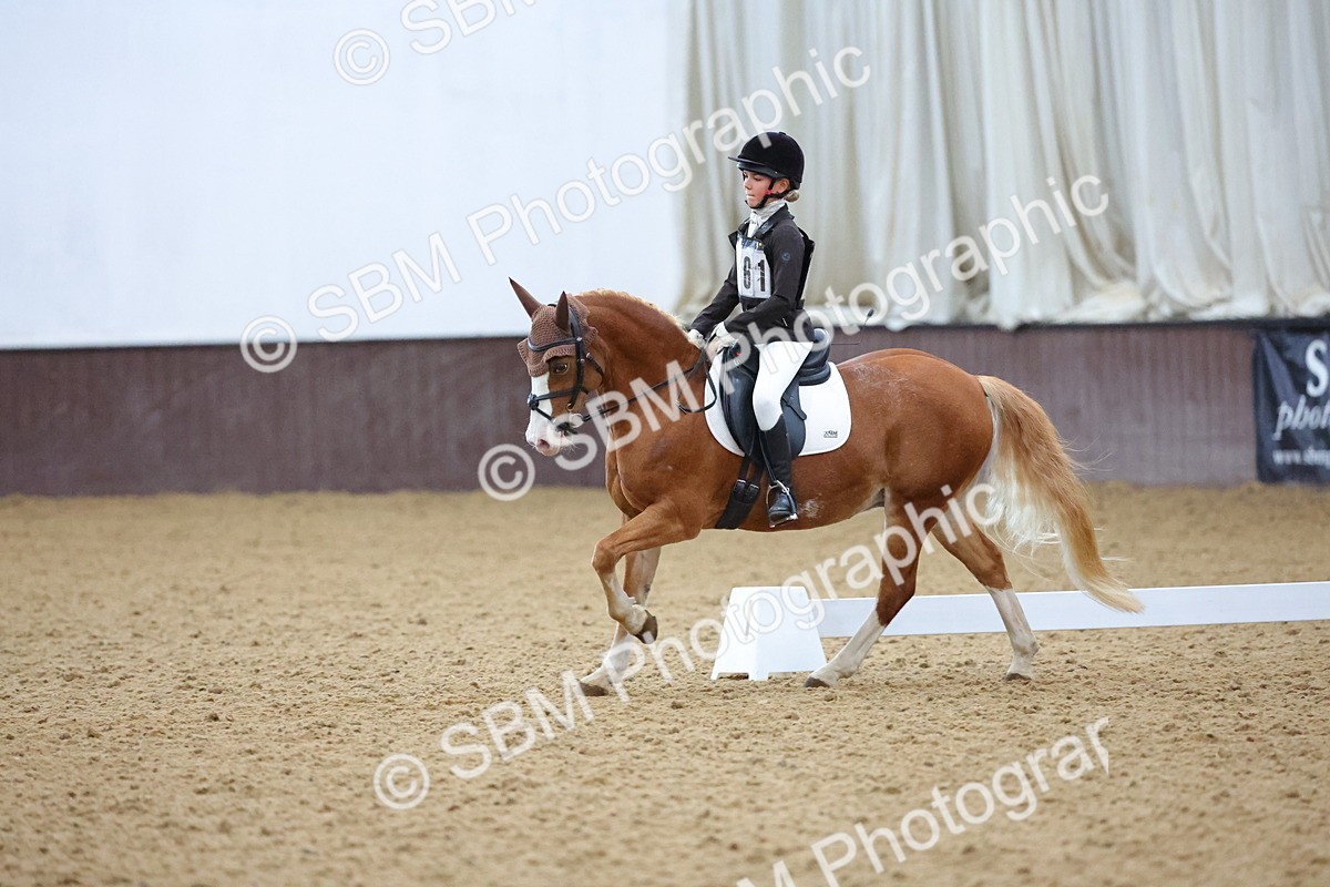 SBM_004200 - Intermediate