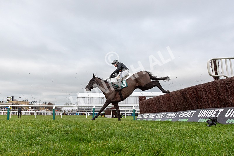 121225-Race 2-Royal Infantry-3470 - Race 2