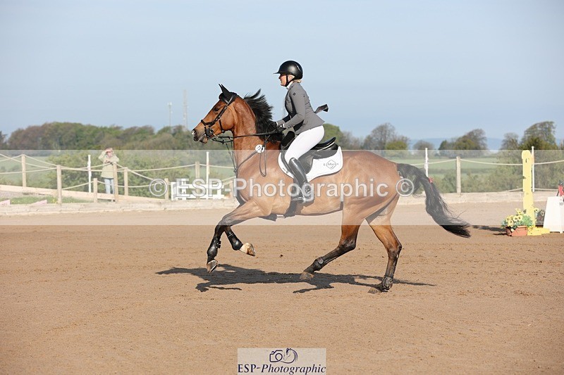 250427-083409-14530 - Cls 28 Young Horse 5yr old