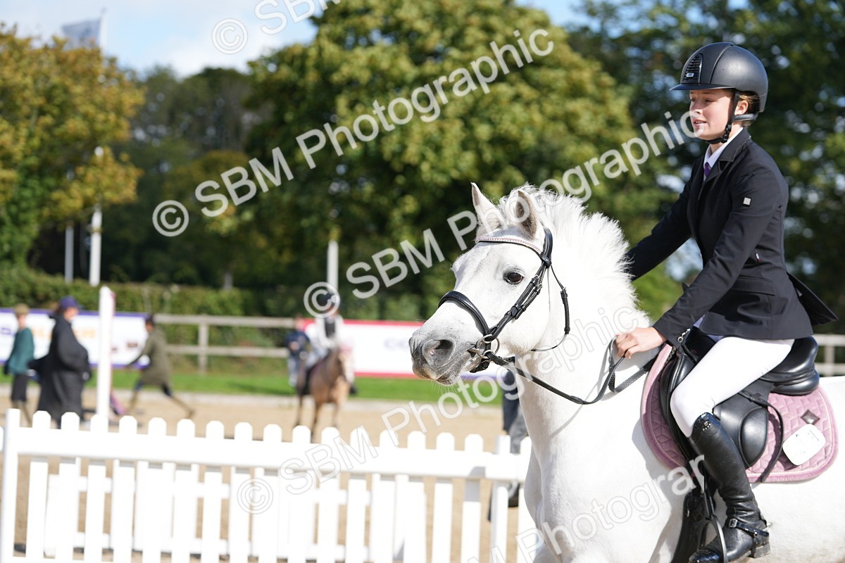 SBM_48326 - J7 - Junior Pony 60cm Championship