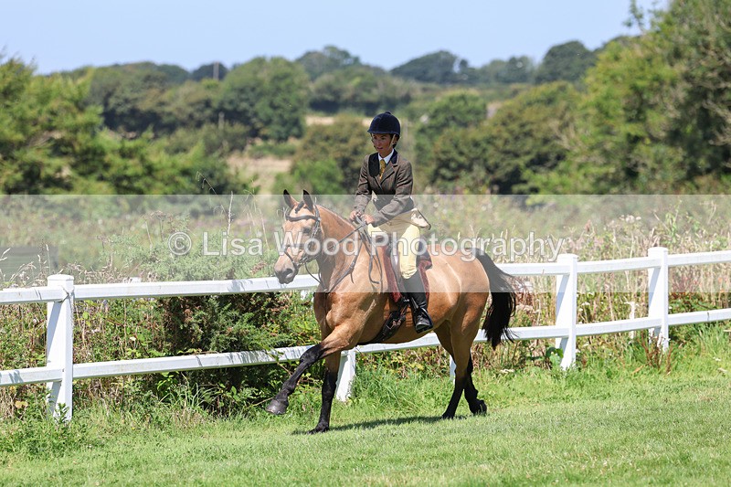 3E7A8999 - Class 6: Open Working Horse