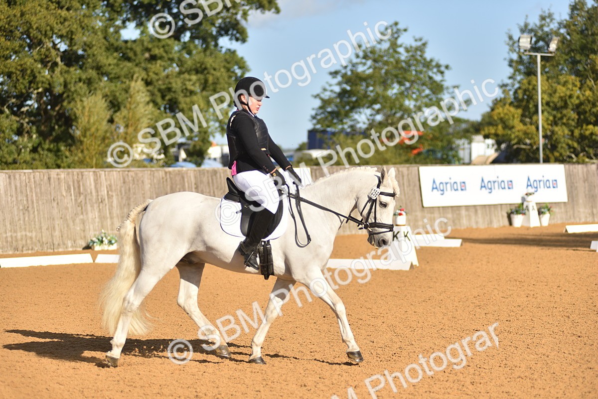 SBM_15752 - D4 - Small Tour Championship Intro 4