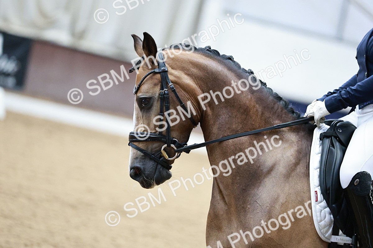 SBM_001111 - Class 1 - Prelim 6 Gold - 12.55-14.00