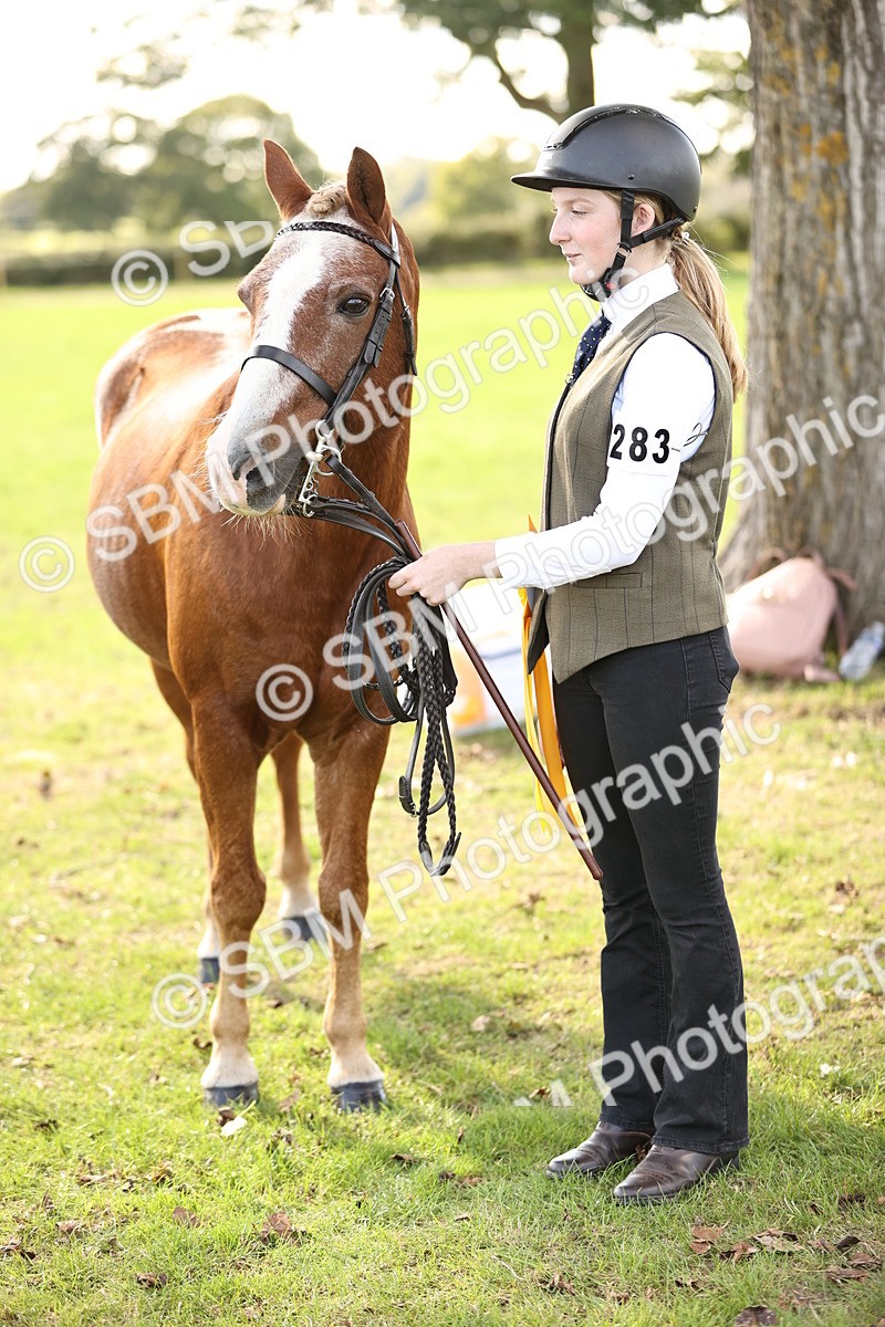 SBM_26284 - S5 - Novice & Newcomers In Hand