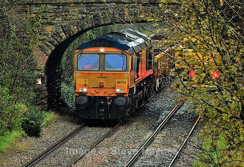 7th December 2023 - Sherborne, Dorset